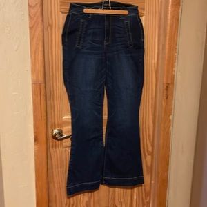 Judy Blue jeans 16w flare